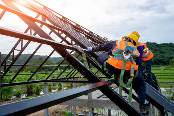 Best Local Roofing Companies  in Myrtle Grove, NC