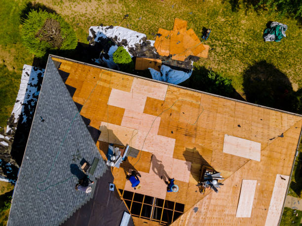 Best Storm Damage Roof Repair  in Myrtle Grove, NC