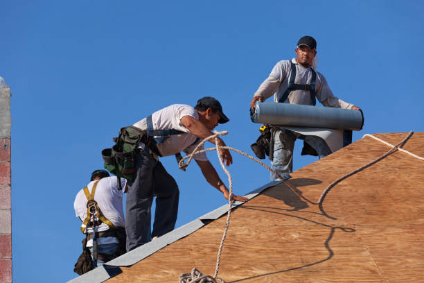 Best Roof Waterproofing Services  in Myrtle Grove, NC