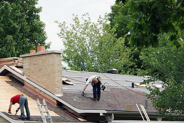 Best Gutter Installation and Roofing  in Myrtle Grove, NC