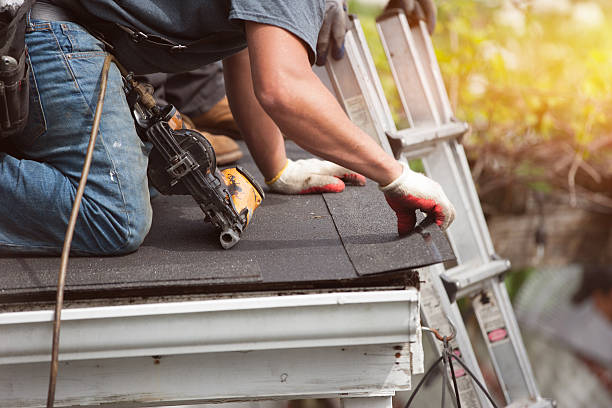 Best Roof Gutter Cleaning  in Myrtle Grove, NC