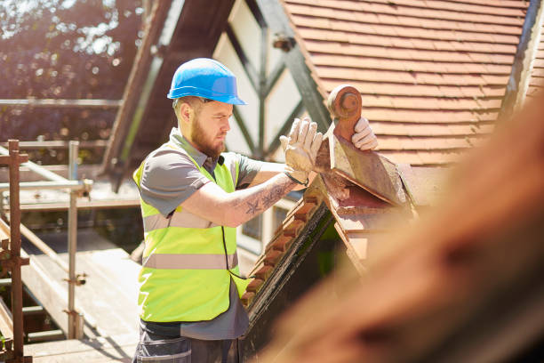 Best Roof Leak Repair  in Myrtle Grove, NC